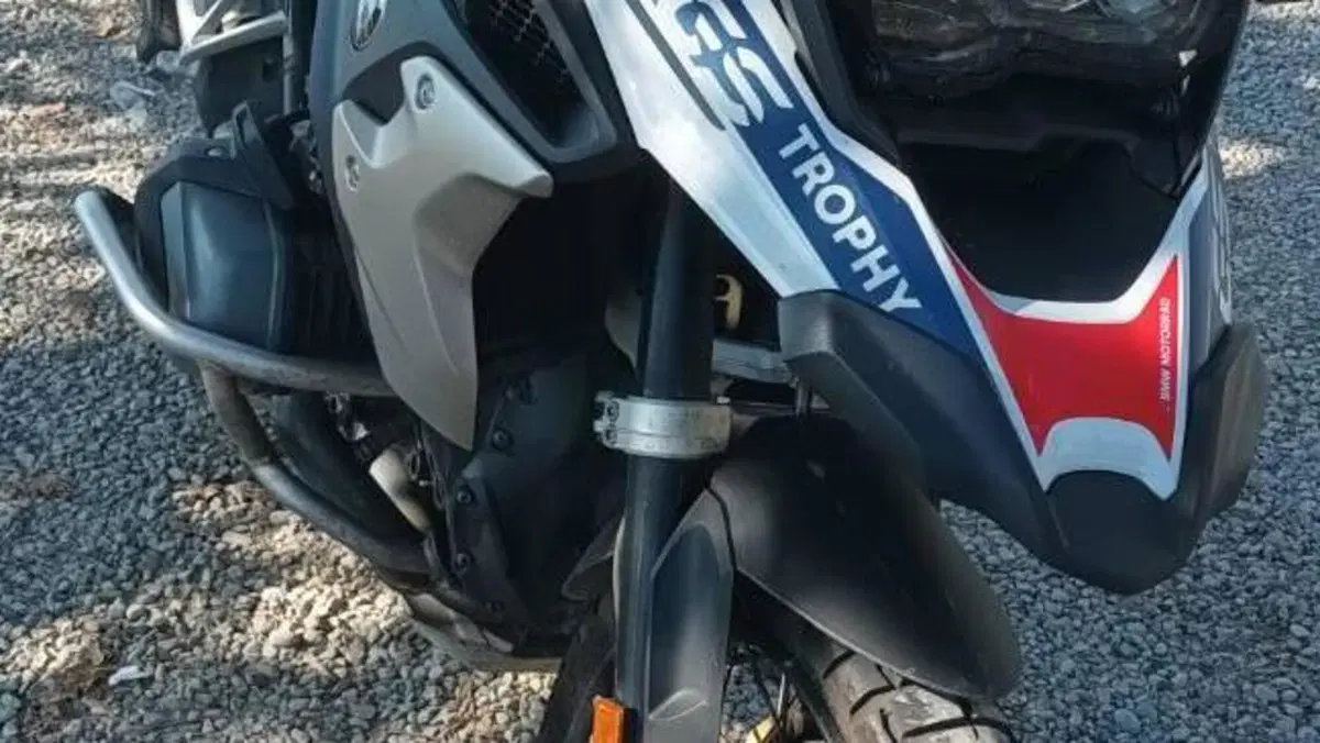 Bmw R 1250 GS (2021 - 24)  (8)