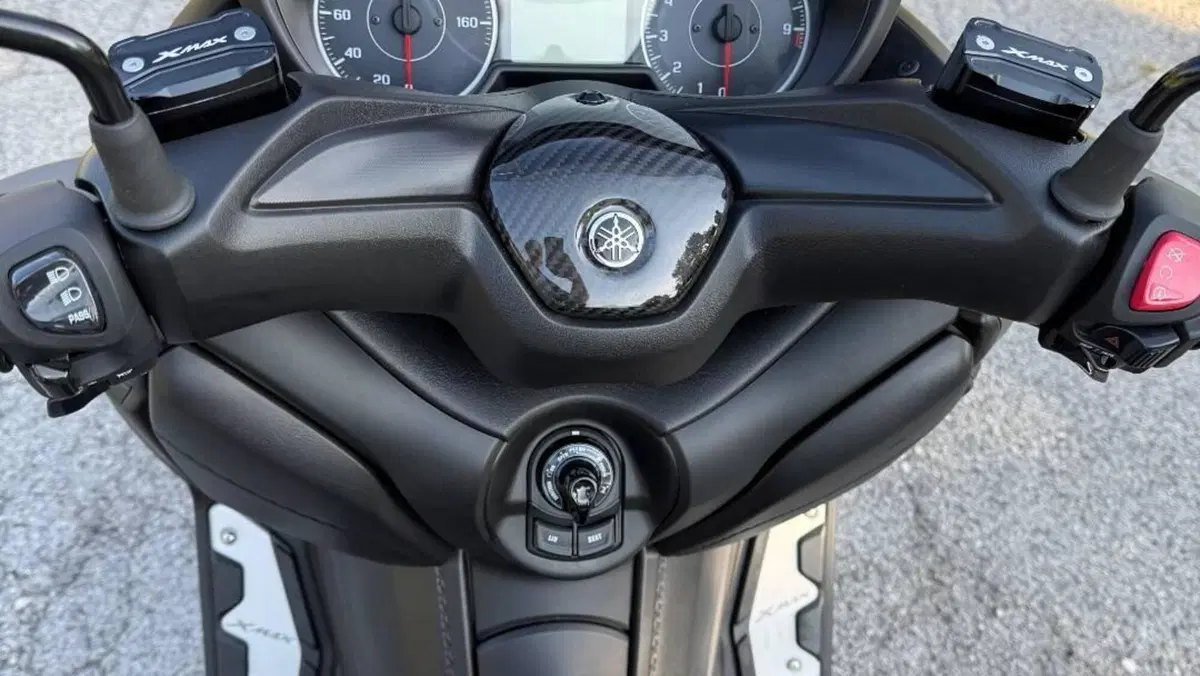 Yamaha X-Max 300 ABS (2017 - 20)  (14)
