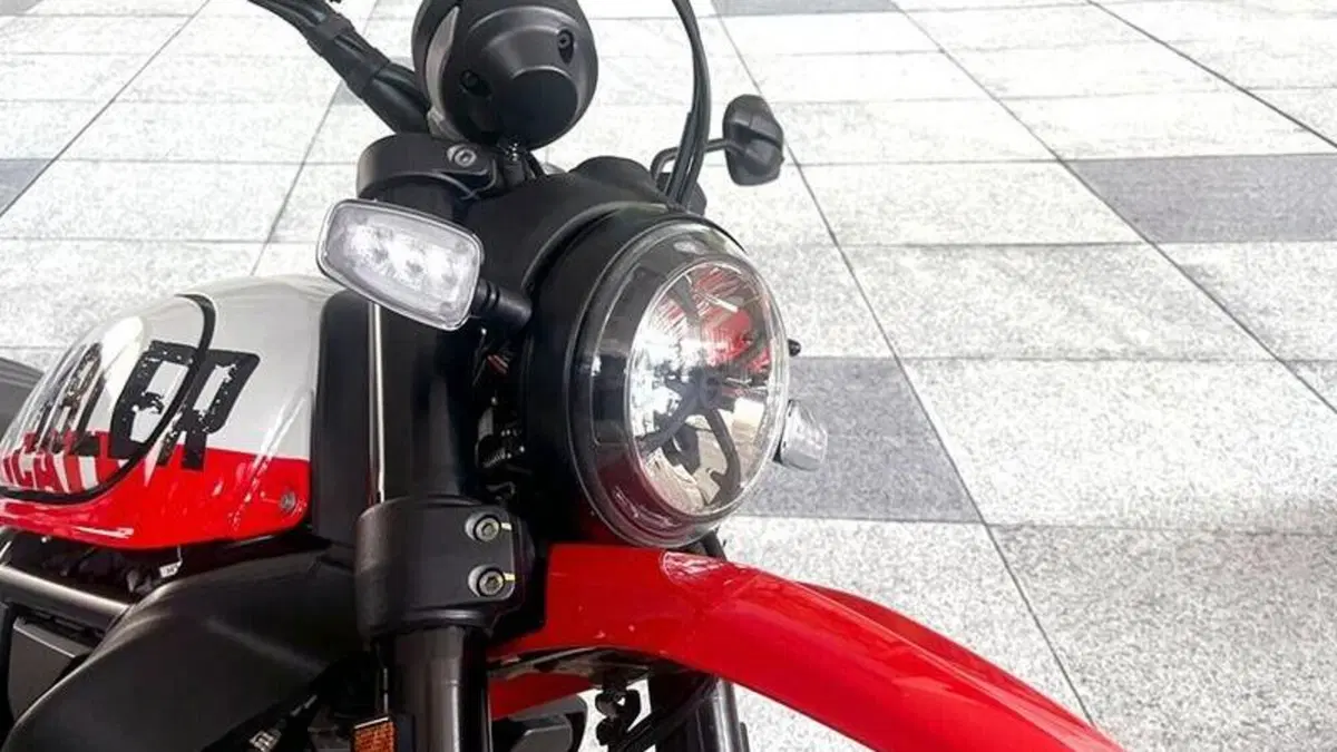 Ducati Scrambler 800 Icon (2023 - 24)  (5)