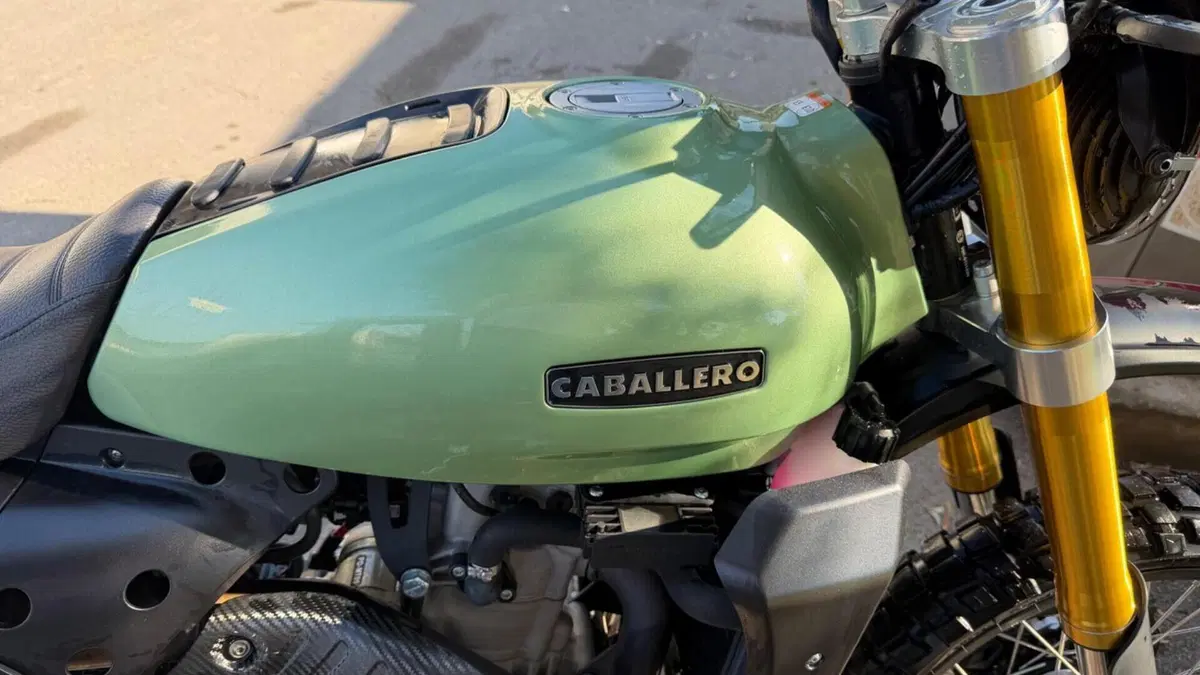 Fantic Motor Caballero 500 Rally (2024)  (9)