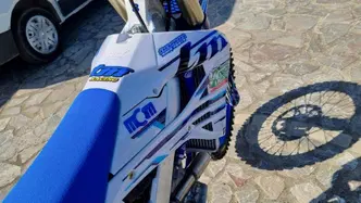 Tm Moto EN 300 ES Fi 4T (2023) usata