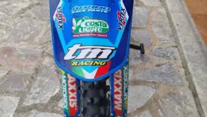 Tm Moto EN 300 ES Fi 4T (2023)  (2)