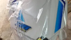 Tm Moto EN 300 ES Fi 4T (2023)  (10)