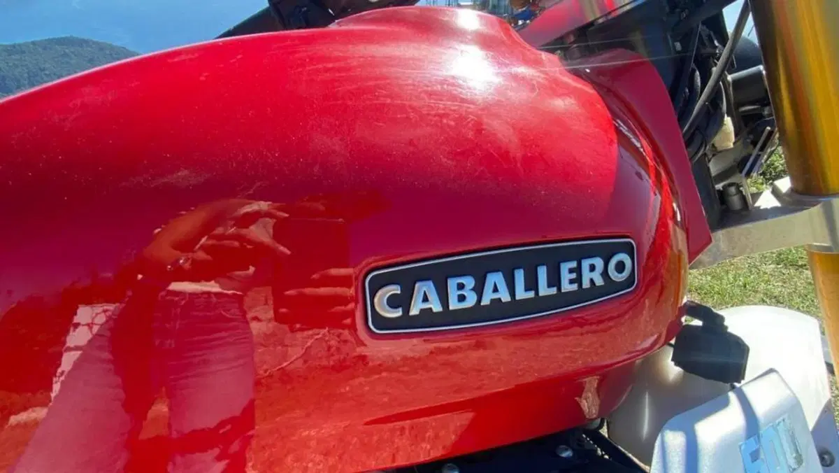 Fantic Motor Caballero 500 Scrambler (2021 - 23)  (18)