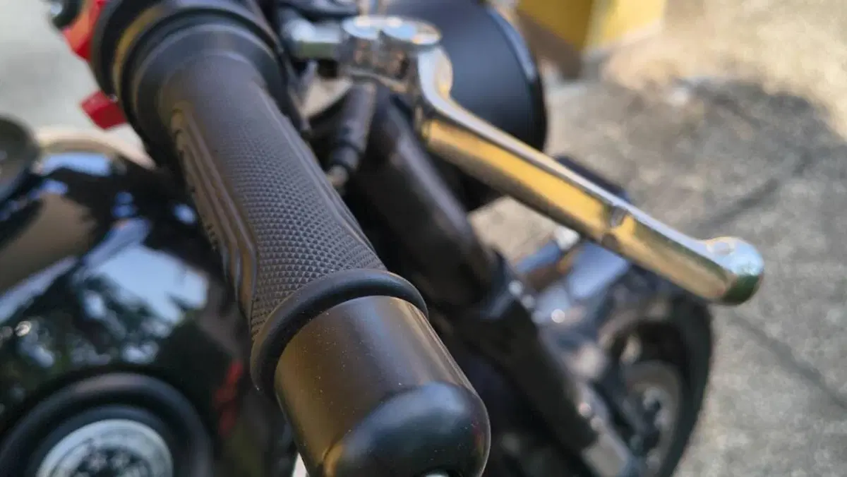 Benelli Leoncino 500 ABS (2017 - 20)  (3)
