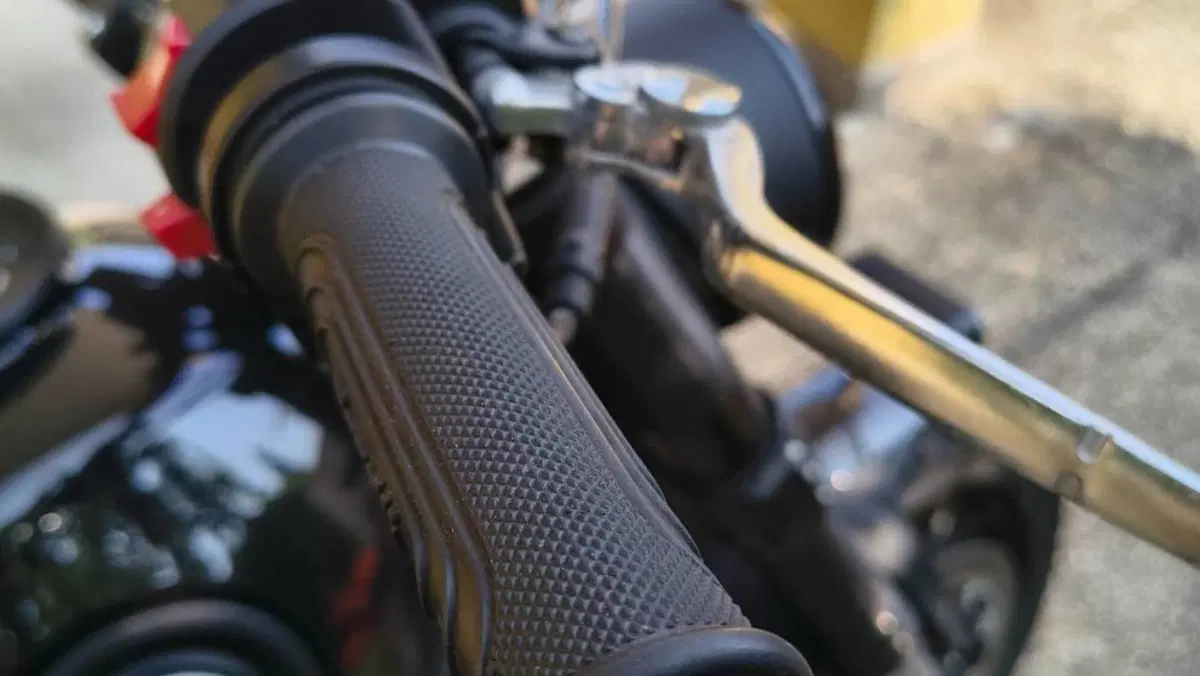 Benelli Leoncino 500 ABS (2017 - 20)  (4)