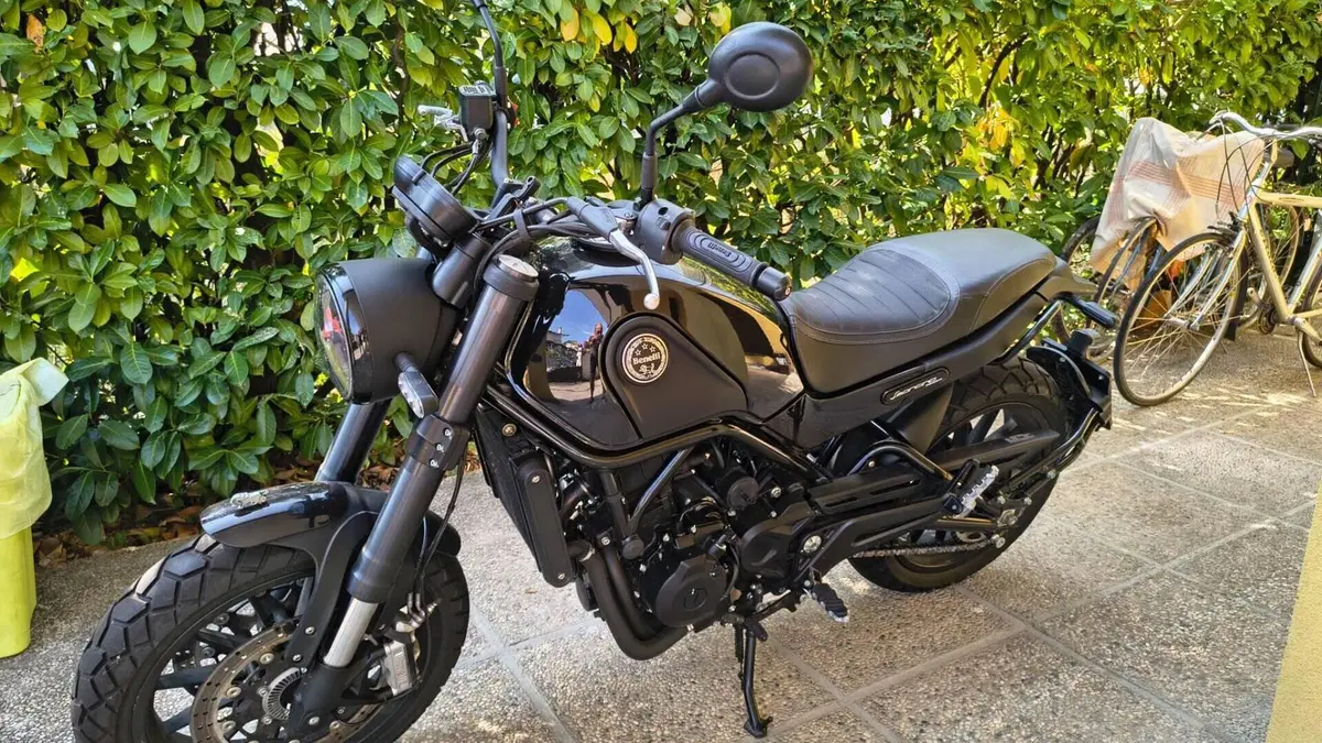Benelli Leoncino 500 ABS (2017 - 20)  (9)