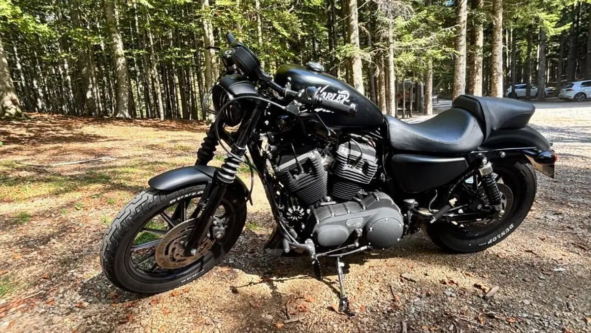 Harley-Davidson 883 Iron (2009 - 11) - XL 883N 