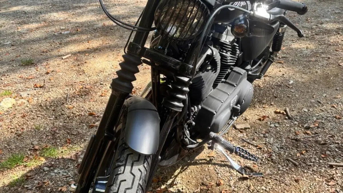 Harley-Davidson 883 Iron (2009 - 11) - XL 883N  (2)