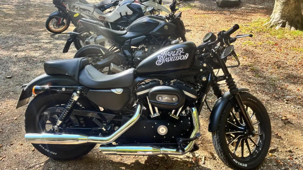 Harley-Davidson 883 Iron (2009 - 11) - XL 883N  (3)