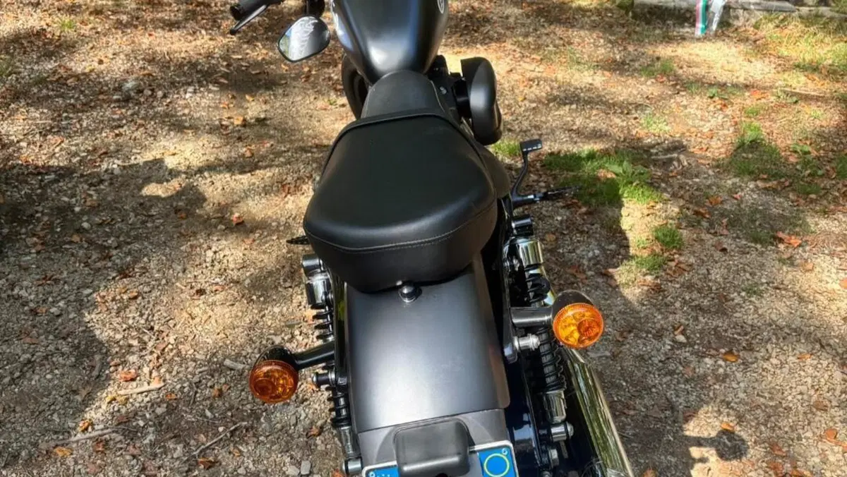 Harley-Davidson 883 Iron (2009 - 11) - XL 883N  (4)