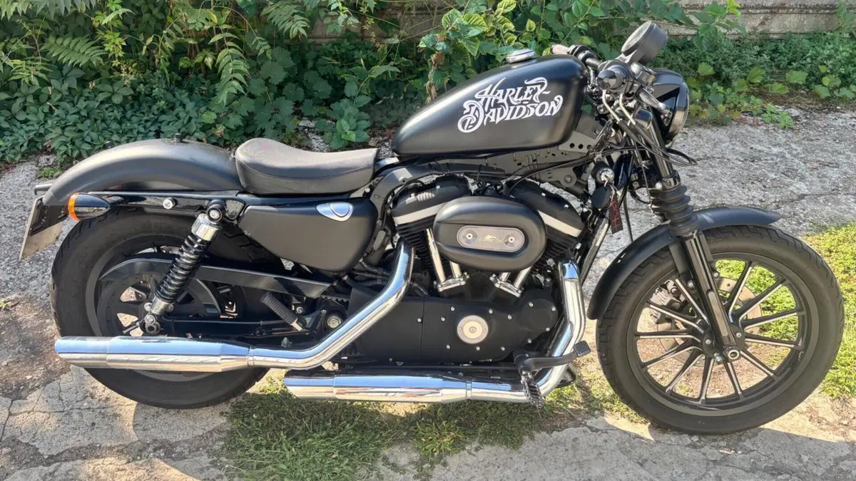Harley-Davidson 883 Iron (2009 - 11) - XL 883N  (8)