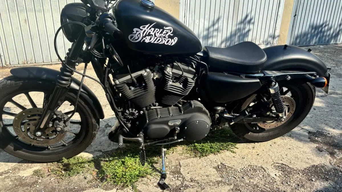 Harley-Davidson 883 Iron (2009 - 11) - XL 883N  (9)
