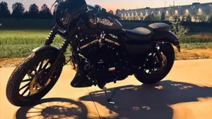 Harley-Davidson 883 Iron (2009 - 11) - XL 883N  (10)