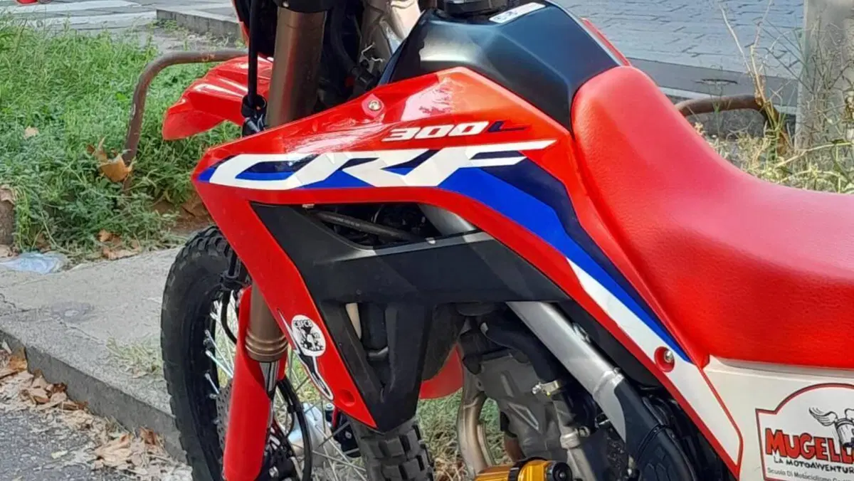 Honda CRF 300L (2021 - 24)  (8)