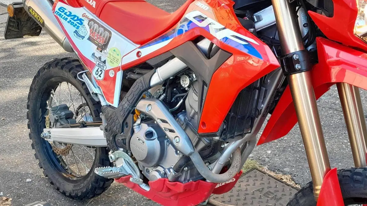 Honda CRF 300L (2021 - 24)  (10)