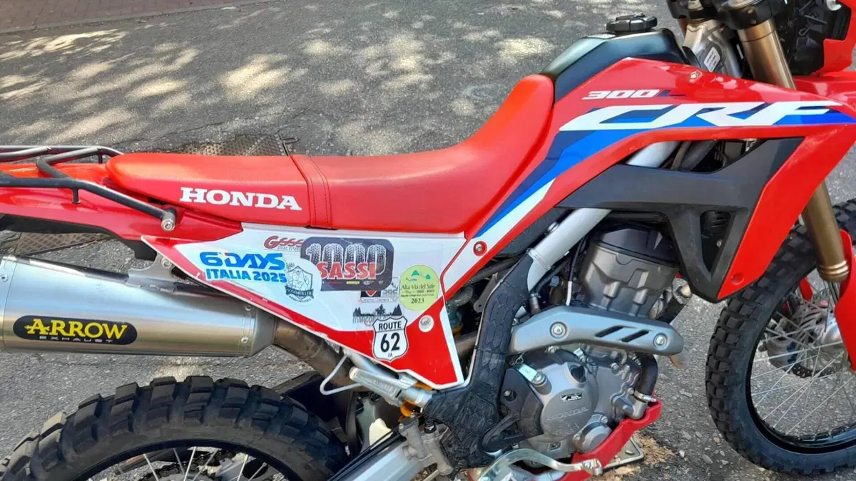 Honda CRF 300L (2021 - 24)  (13)