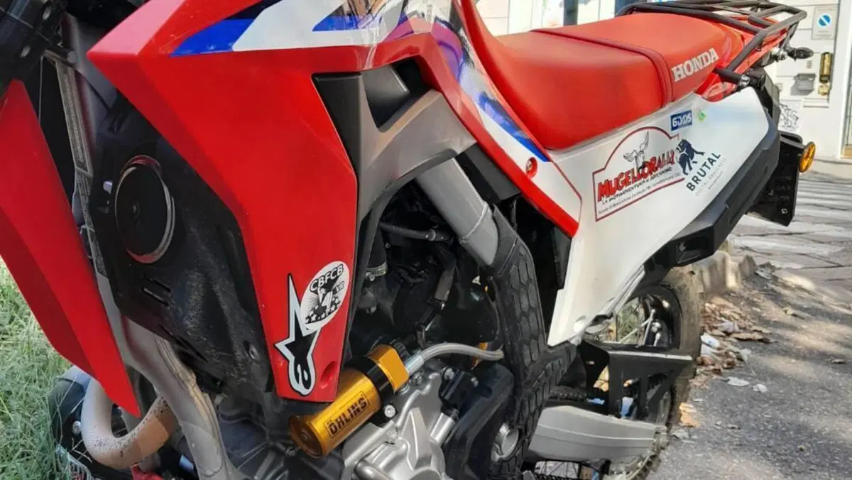 Honda CRF 300L (2021 - 24)  (15)