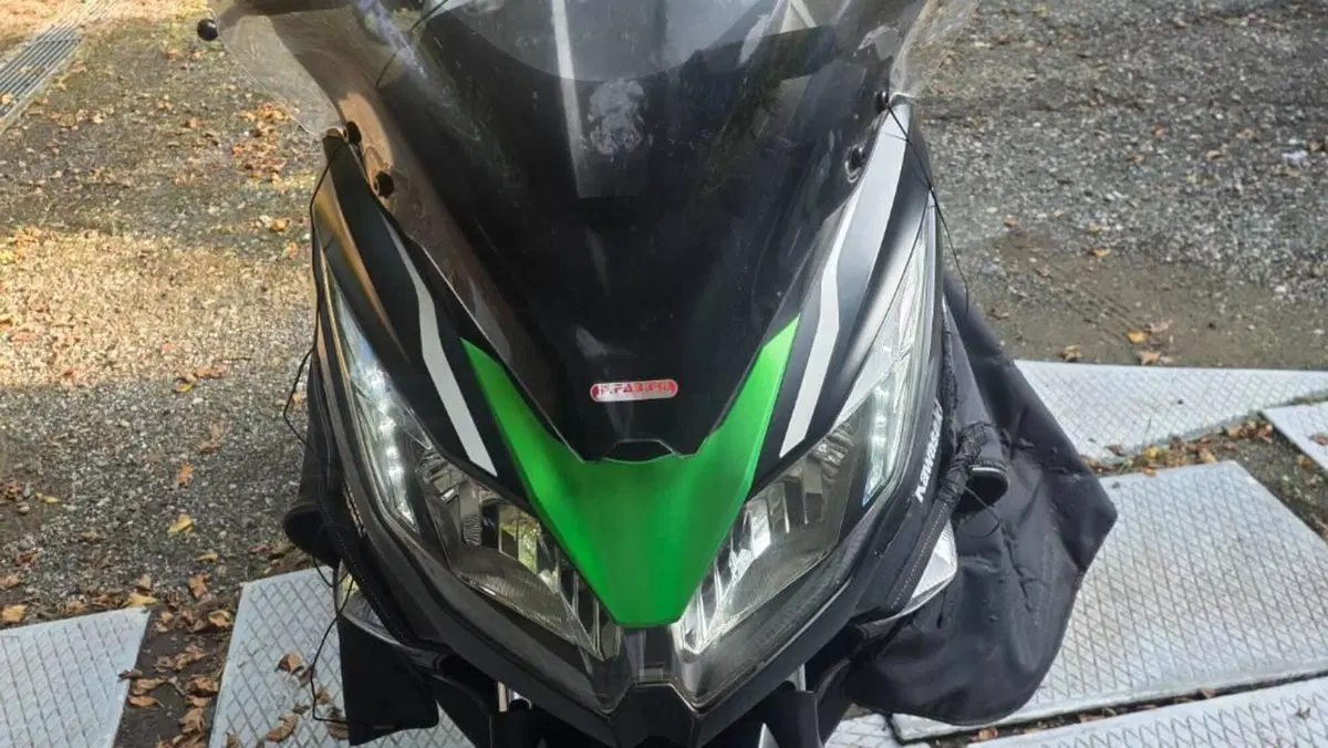 Kawasaki J 300 (2014) 