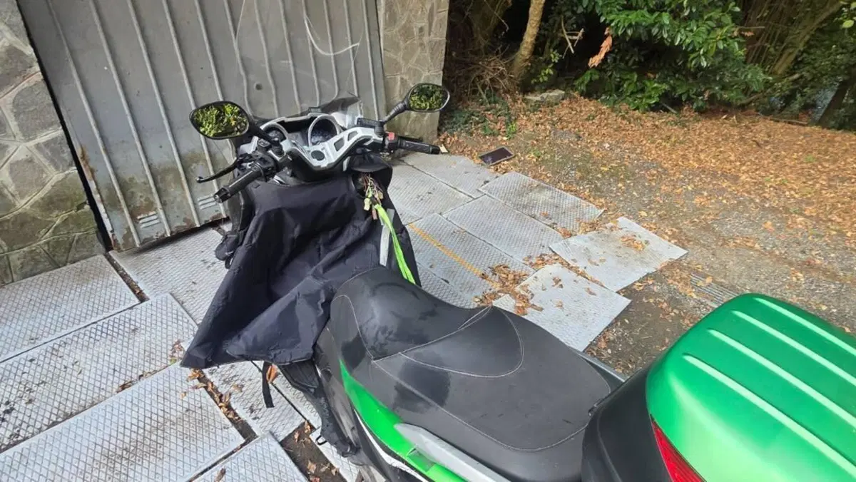 Kawasaki J 300 (2014)  (2)