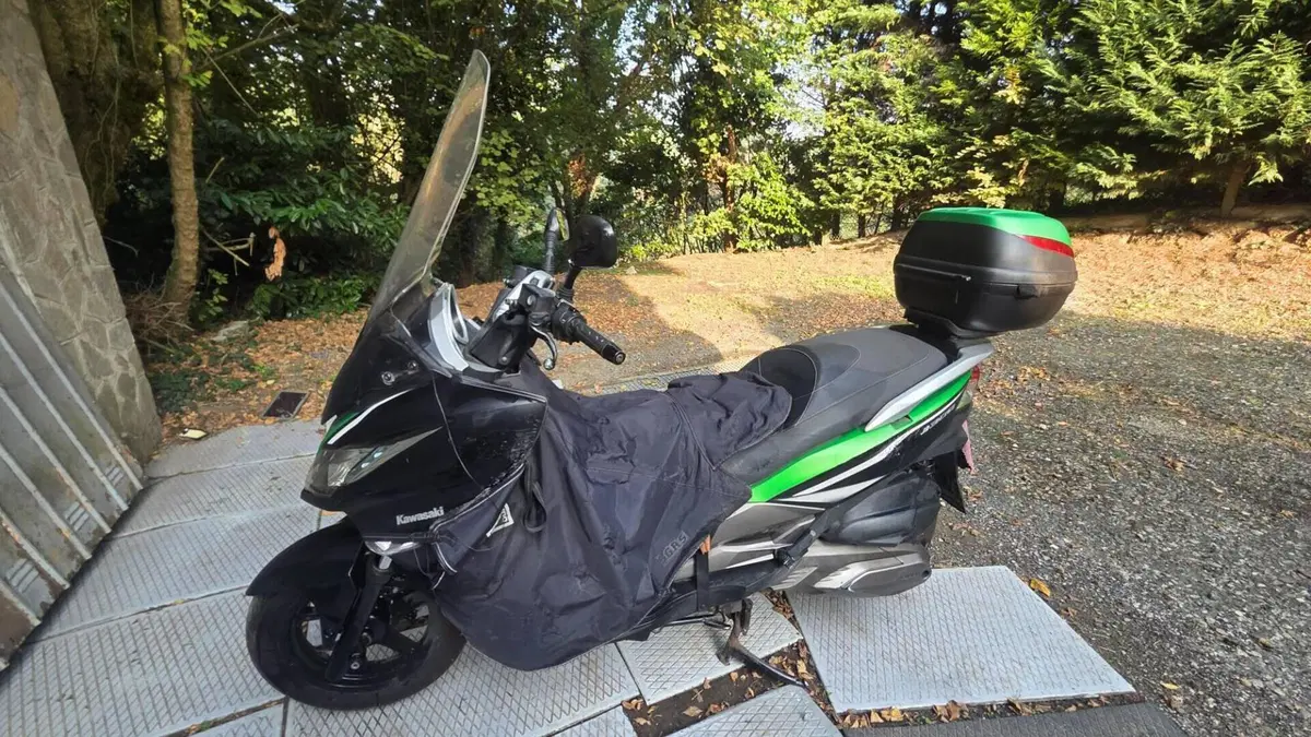 Kawasaki J 300 (2014)  (5)