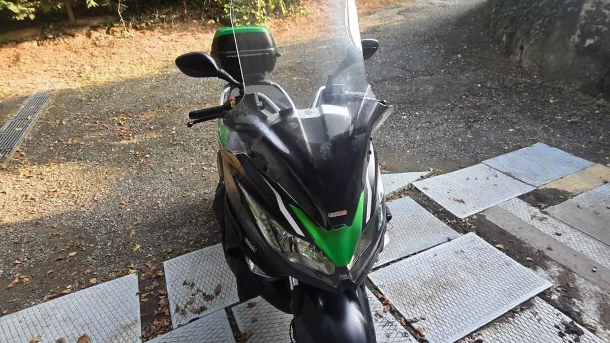 Kawasaki J 300 (2014)  (6)