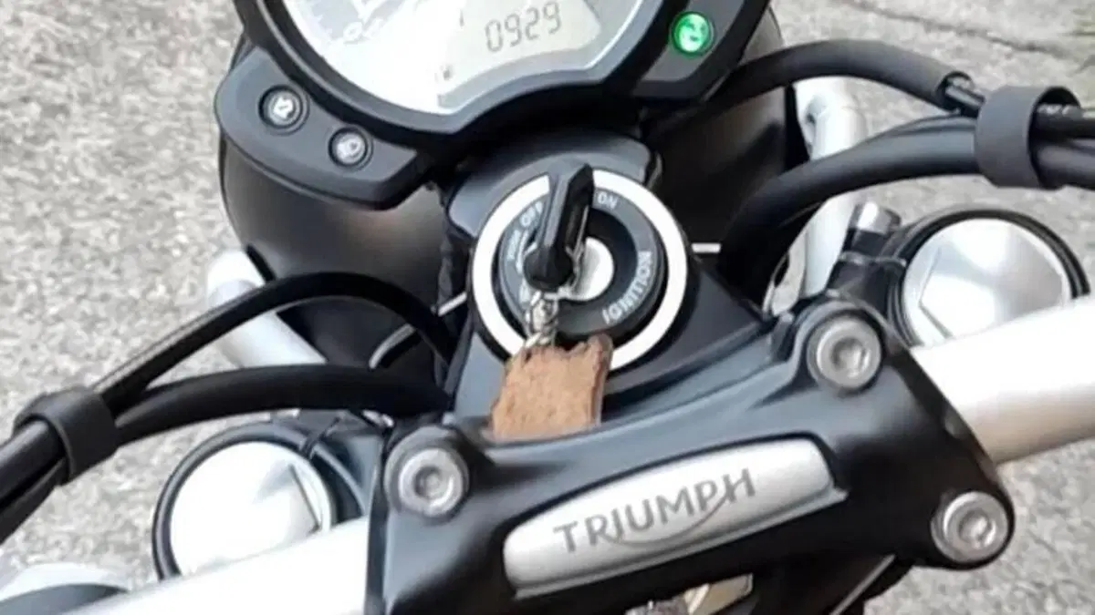Triumph Street Scrambler 900 (2017 - 18)  (5)