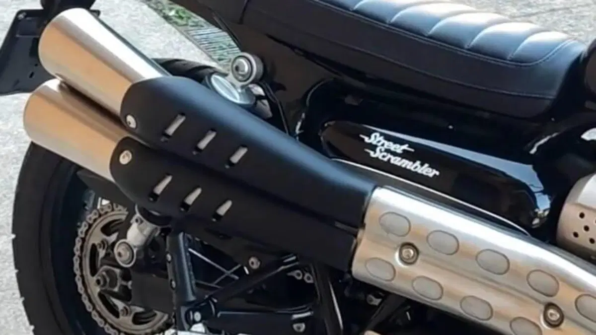 Triumph Street Scrambler 900 (2017 - 18)  (6)