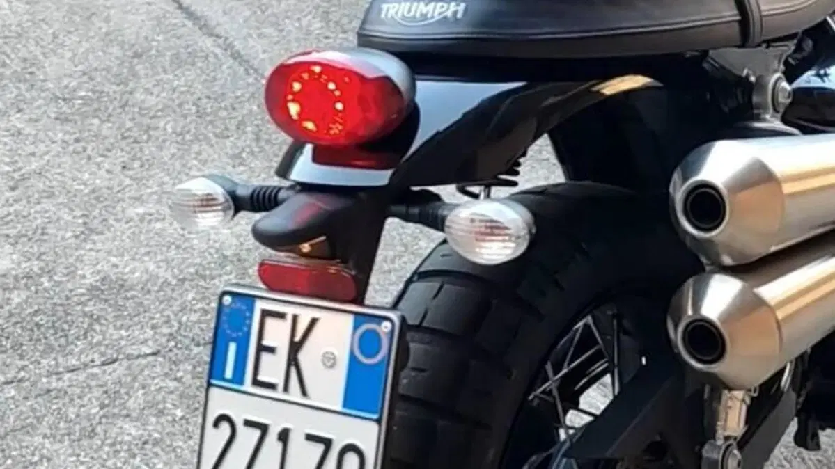 Triumph Street Scrambler 900 (2017 - 18)  (7)