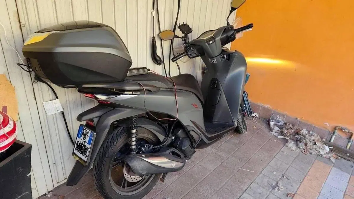 Honda SH 125i (2020 - 23)  (2)