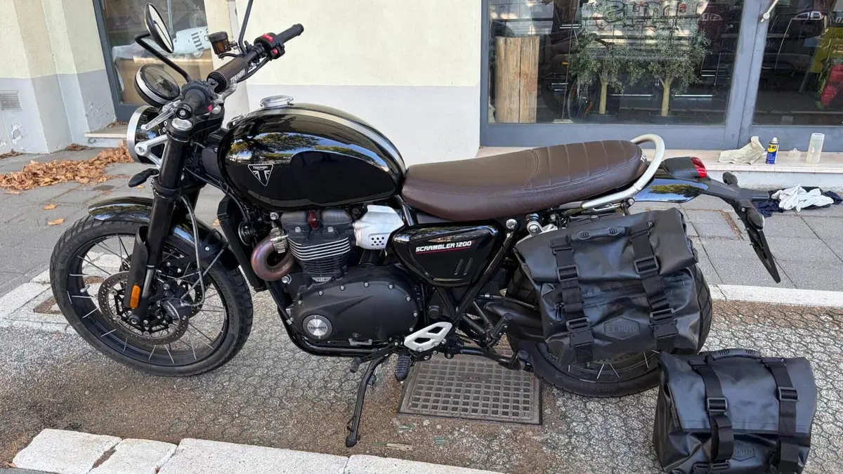 Triumph Scrambler 1200 X (2024 - 26) 