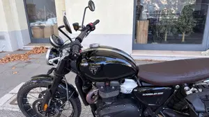 Triumph Scrambler 1200 X (2024 - 26)  (5)