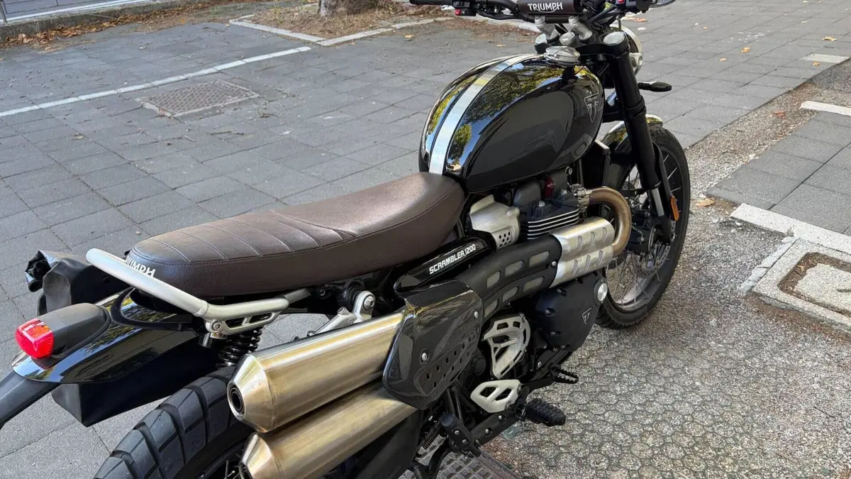 Triumph Scrambler 1200 X (2024 - 26)  (7)