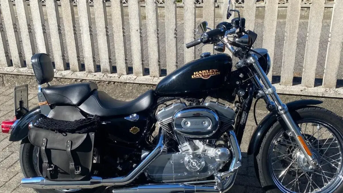 Harley-Davidson 883 Low (2008 - 12) - XL 883L  (4)