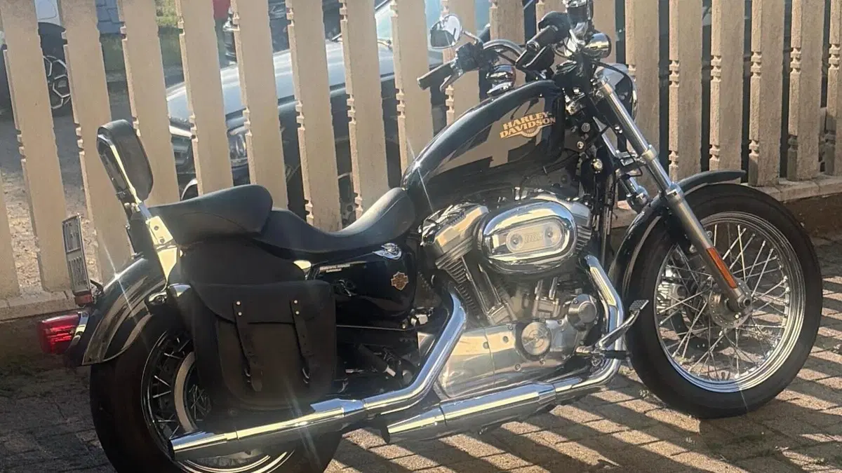 Harley-Davidson 883 Low (2008 - 12) - XL 883L  (3)