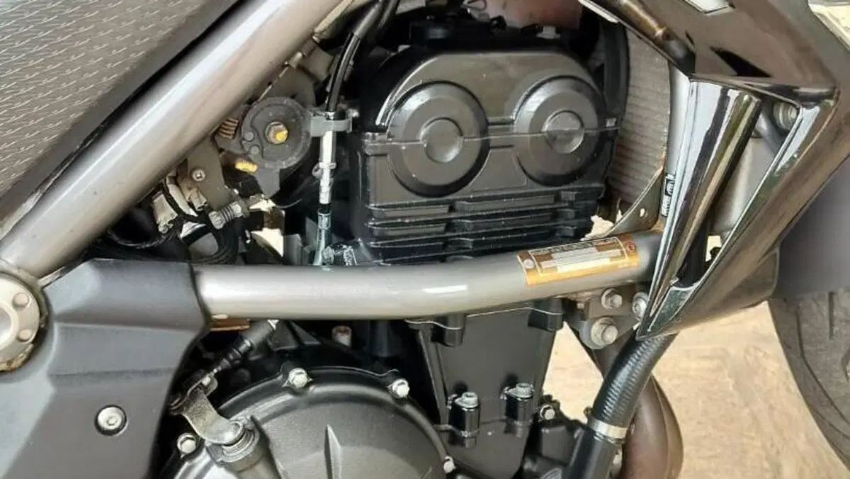 Kawasaki ER-6N (2009 - 11)  (3)