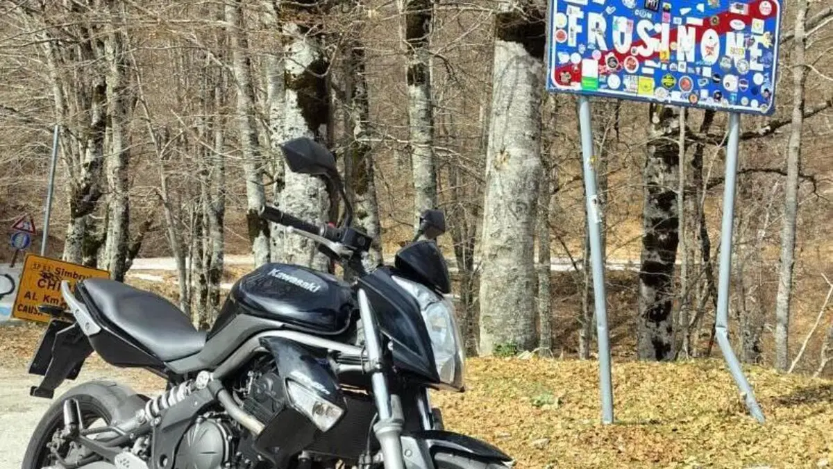 Kawasaki ER-6N (2009 - 11)  (6)
