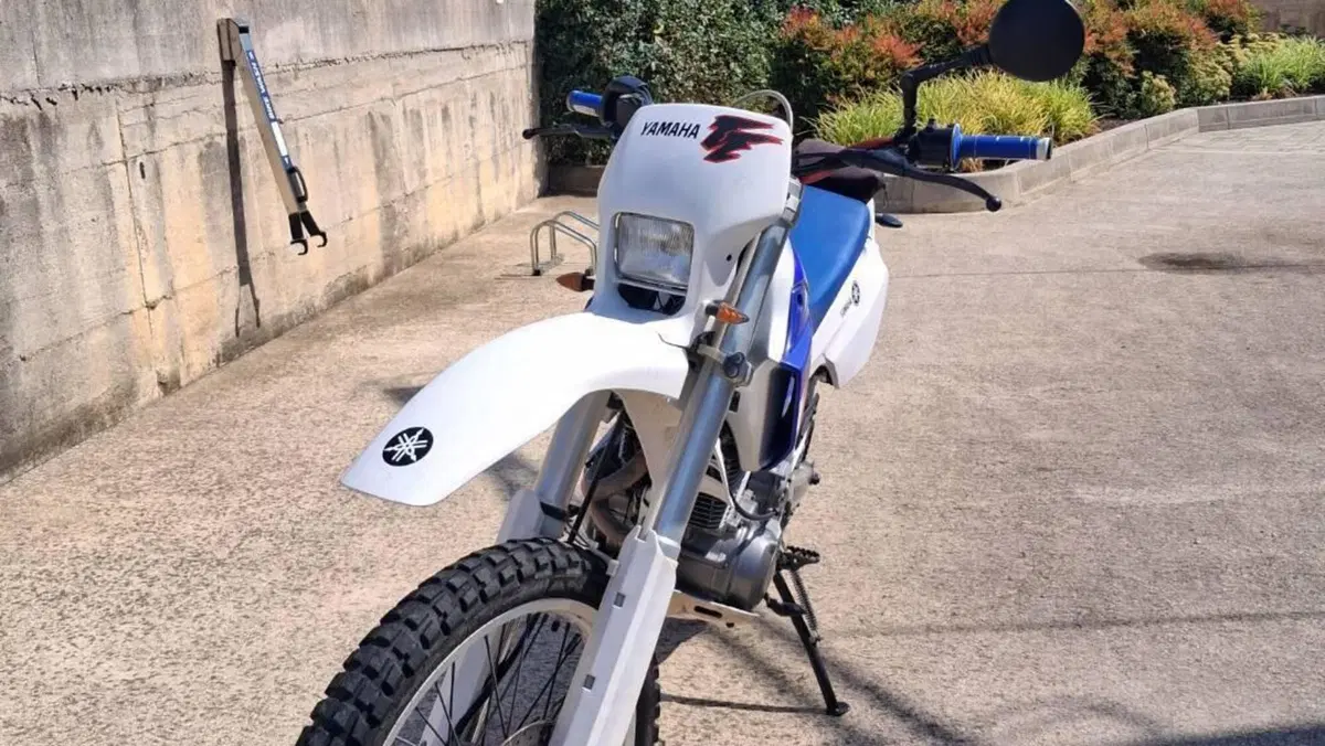 Yamaha TT 600 E (1994 - 03)  (2)