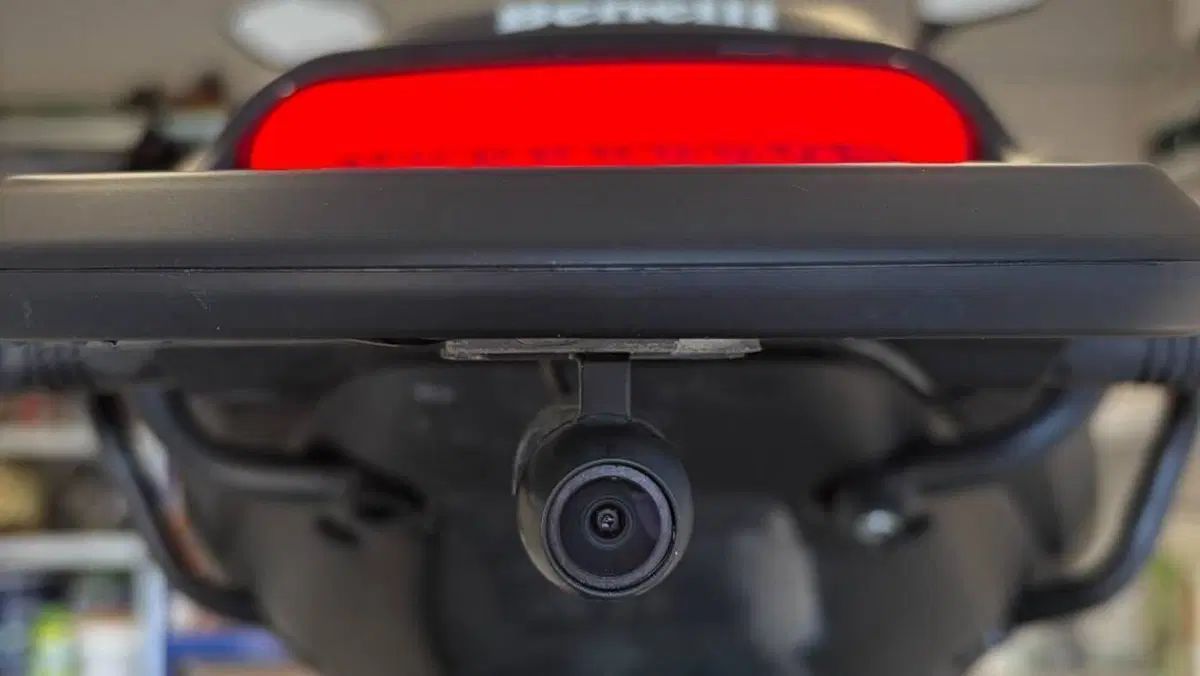 Benelli Leoncino 500 (2021 - 25)  (4)