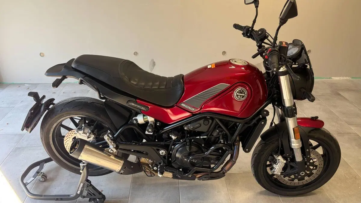 Benelli Leoncino 500 (2021 - 25) 
