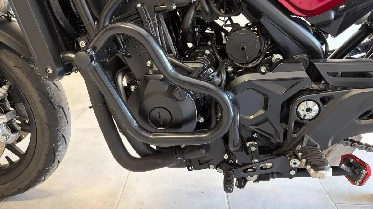 Benelli Leoncino 500 (2021 - 25)  (3)