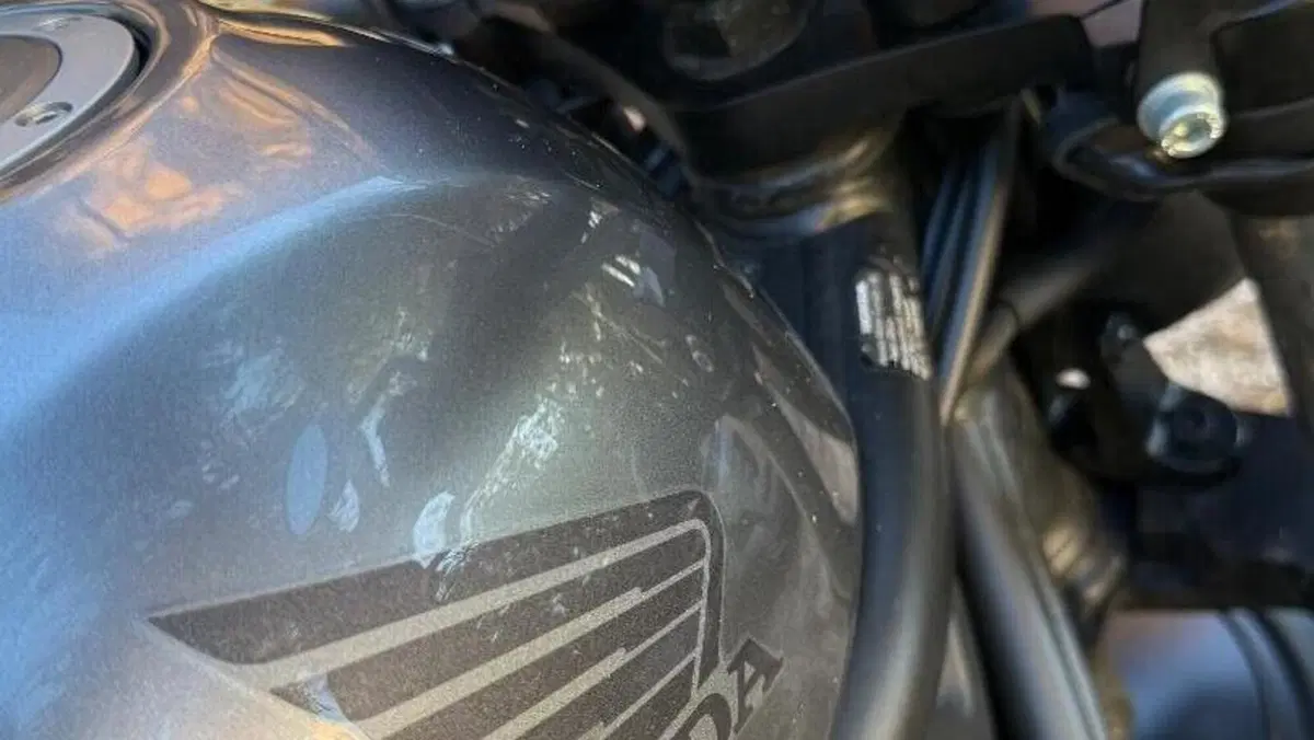 Honda CMX 500 Rebel (2022 - 24)  (13)
