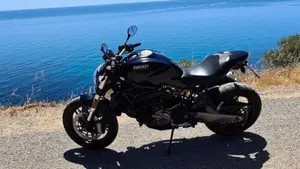 Ducati Monster 821 (2018 - 20)  (4)