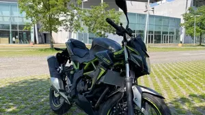 Kawasaki Z 125 (2021 - 24)  (3)
