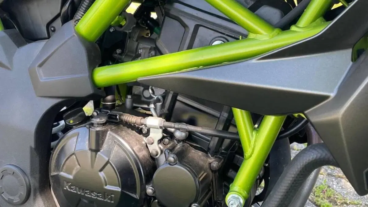 Kawasaki Z 125 (2021 - 24)  (5)