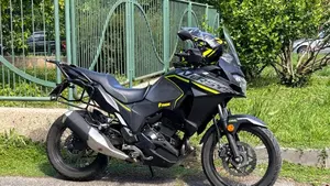 Kawasaki Versys-X 300 Urban (2020)  (4)