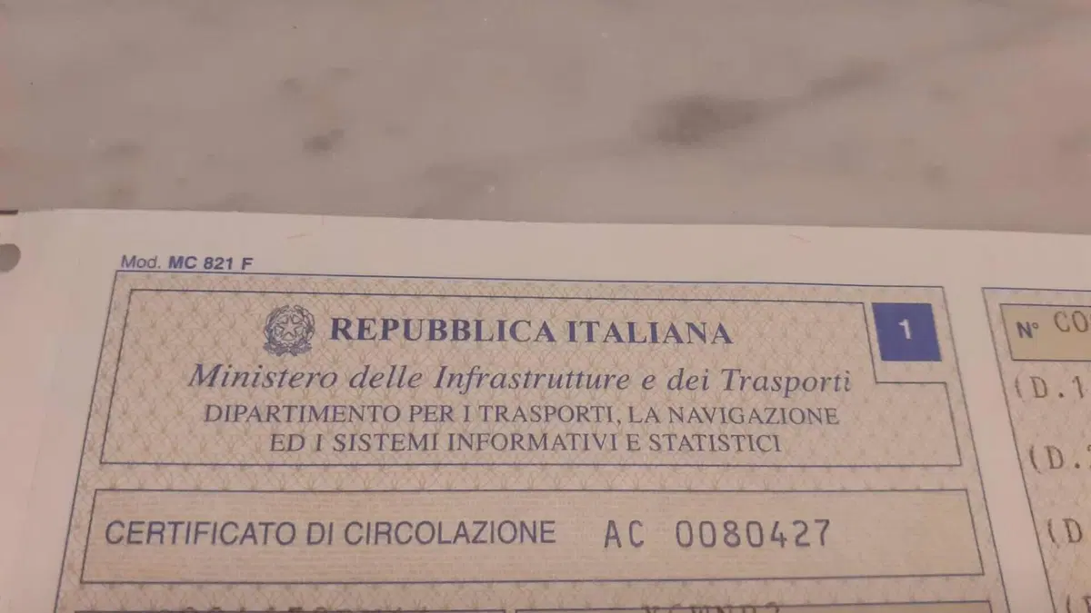 Piaggio   (14)