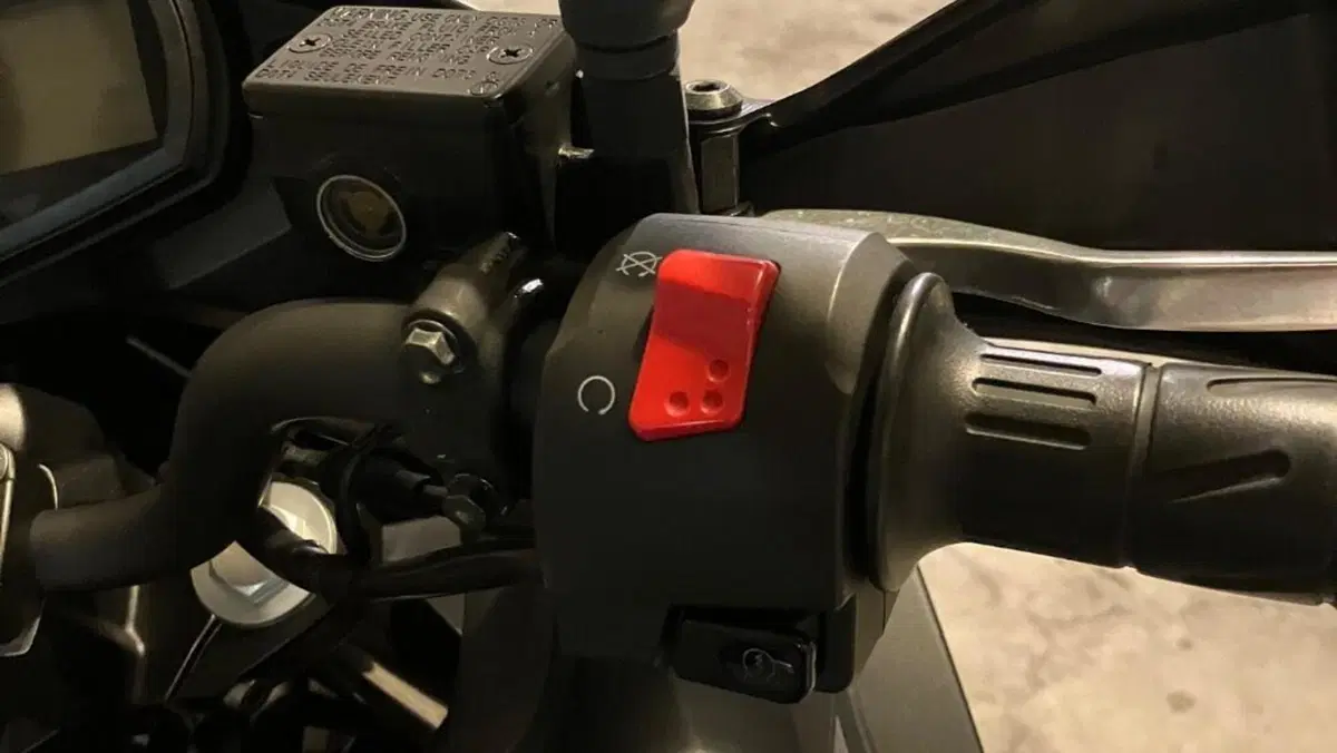 Kawasaki Versys-X 300 Urban (2020)  (7)