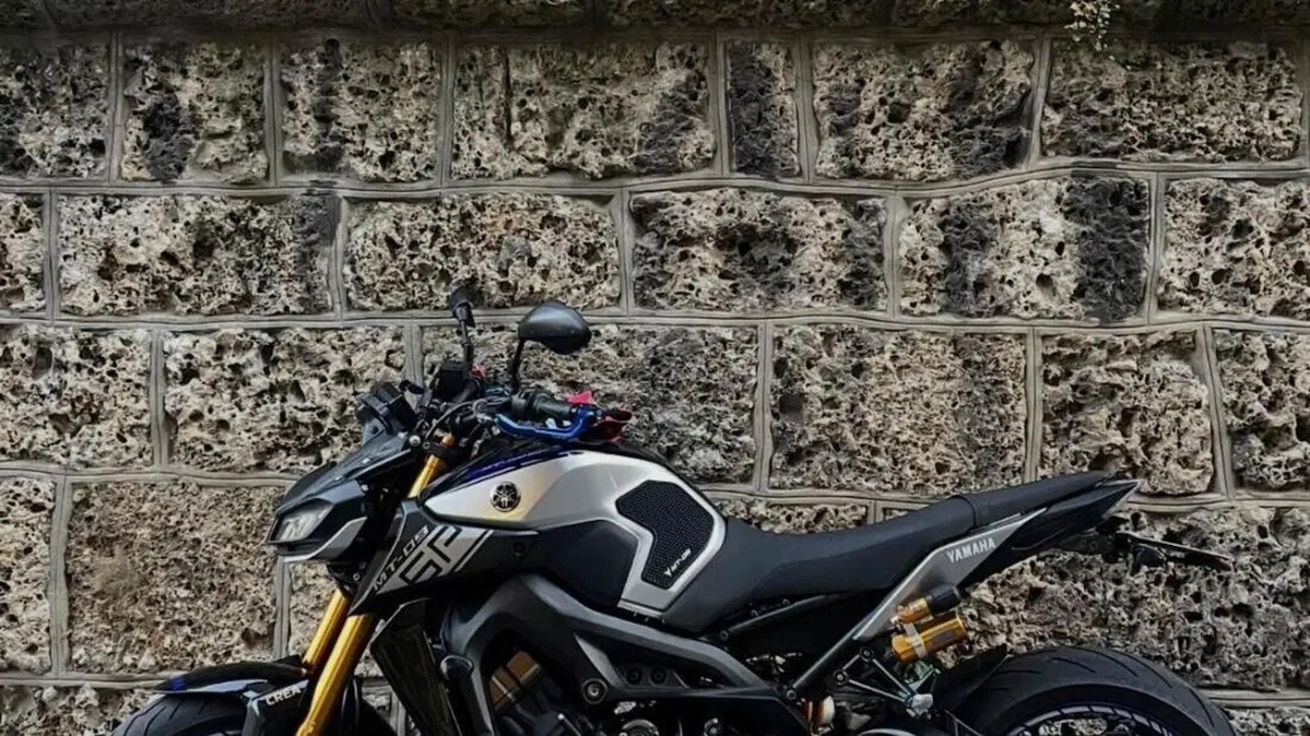 Yamaha MT-09 SP (2018 - 20)  (3)