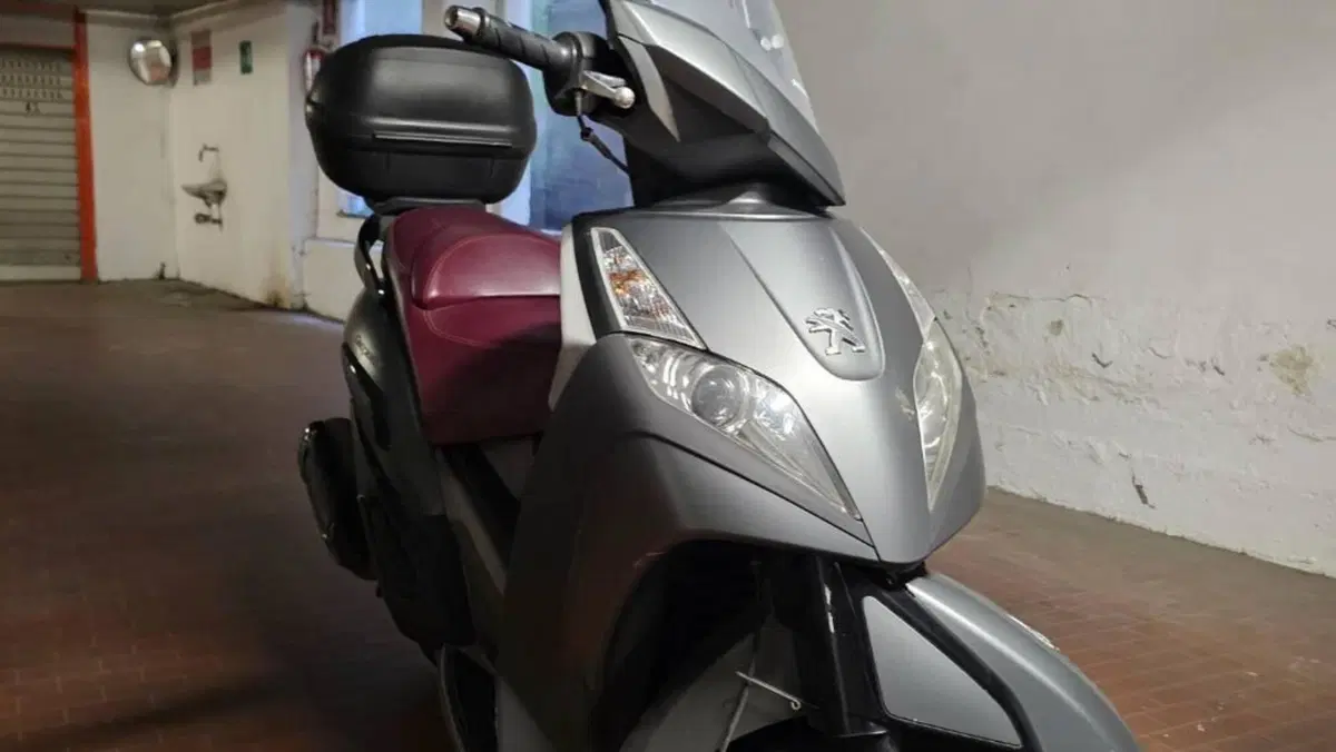 Peugeot Geopolis 300 (2013 - 15) 